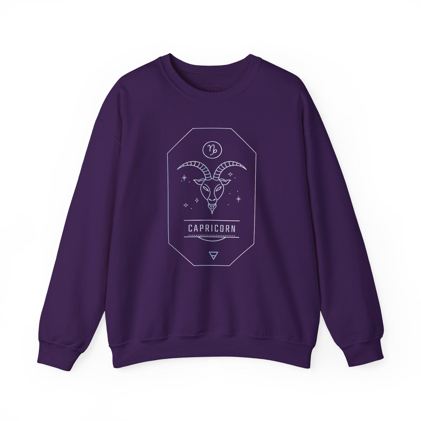 Capricorn Sweatshirt